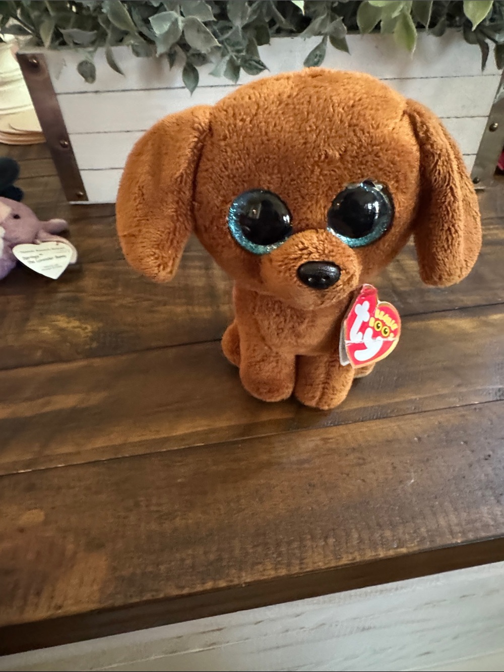 Beanie Baby - Ty ‘Dougie’ Brown Plush Puppy with Sparkly Blue-Accented Eyes